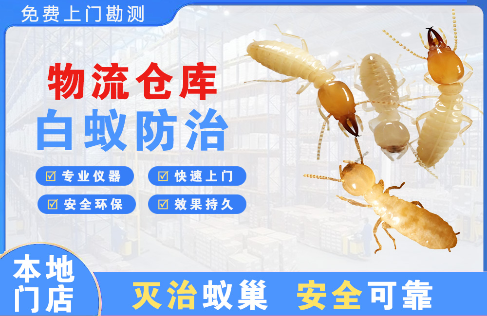 射阳物流仓库白蚁防治