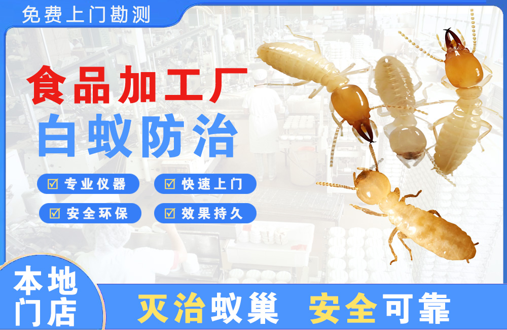 射阳食品加工厂白蚁防治