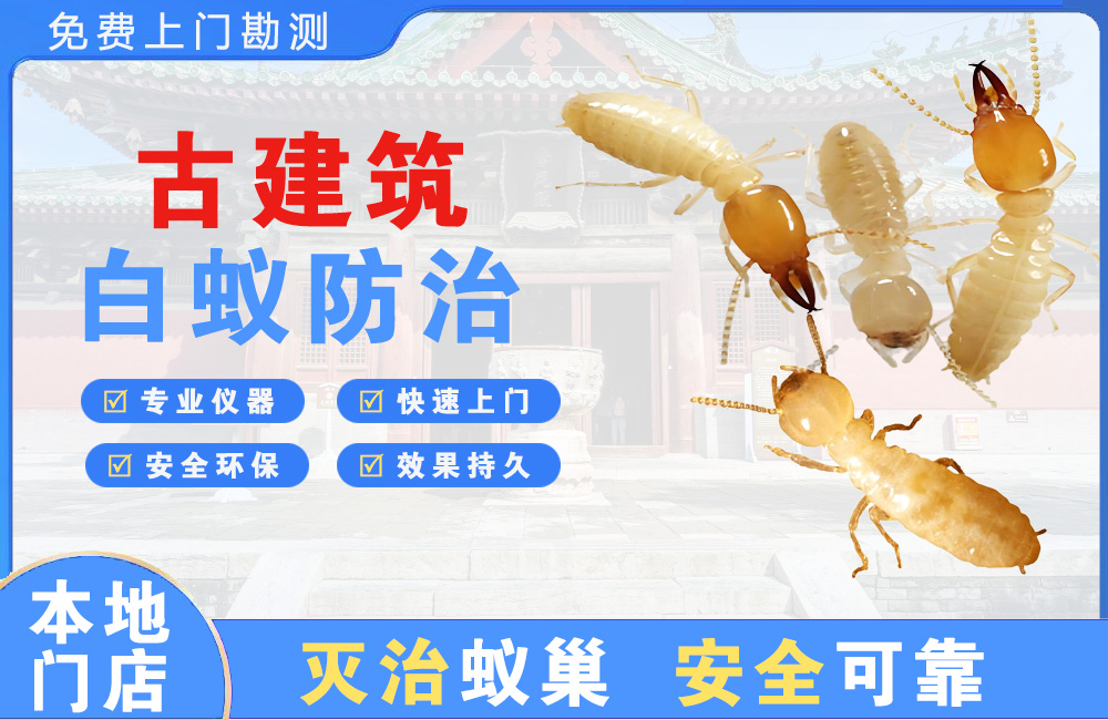 射阳古建筑白蚁防治