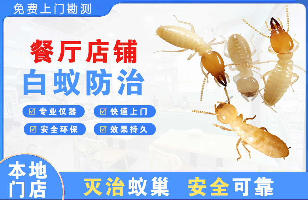 射阳餐厅店铺白蚁防治